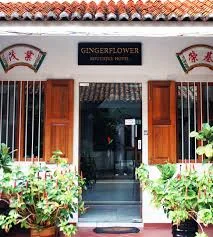 T Hotel Tandop — photo 3 of 3