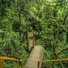 Tripzo Adventures Cameron Highlands — photo 1 of 3