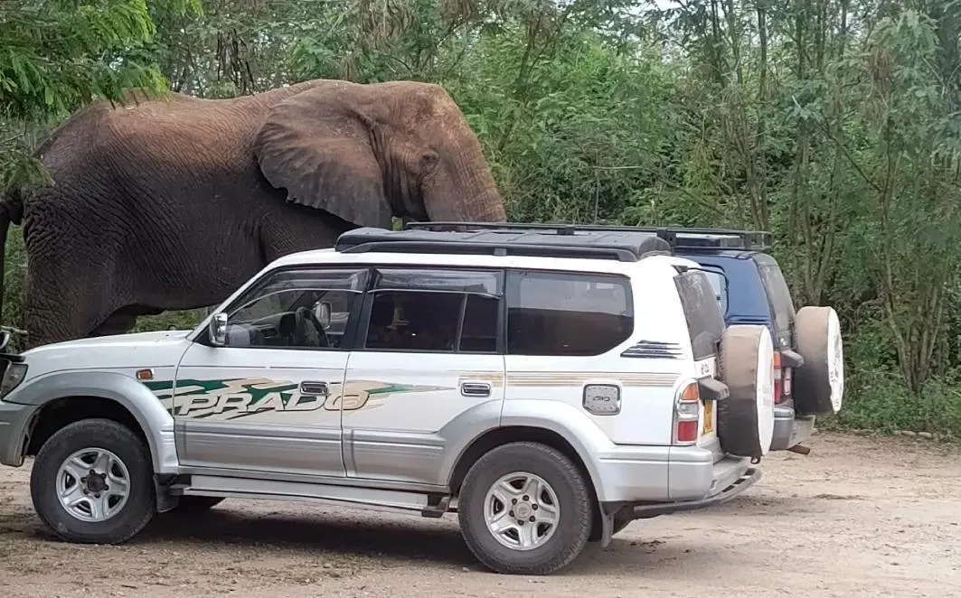 Uganda Car Rental Deal rental in Kampala
