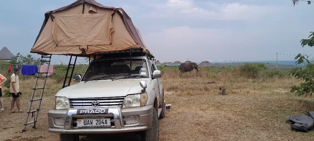 Rooftop Tent Land Cruiser car rental in Kampala