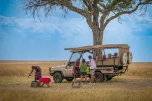 Uganda Tourist Guide — photo 5 of 6