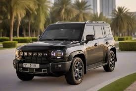 الصافى لتأجير السيارات فرع النهضة — photo 2 of 4