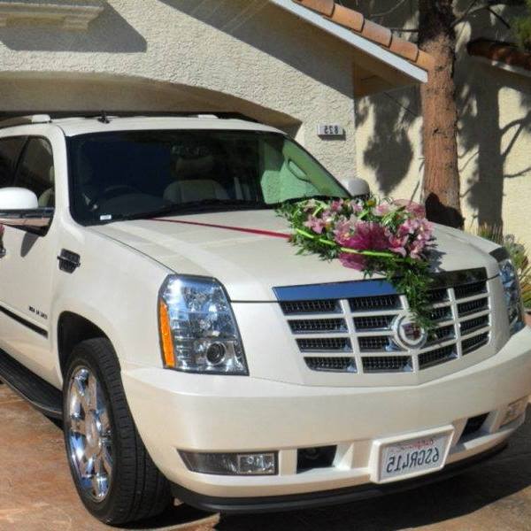 Malik Rent A CarMalik Rent A Car — photo 3 of 4