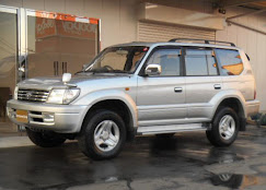 Eagle Safe Tours &amp; Travels rent A car PVT — photo 3 of 4