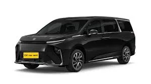 CK LUXURY MPV CAR RENTAL — photo 2 of 4