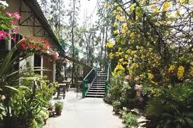 New Kuakata Rent-a-Car, Kuakata — photo 2 of 3