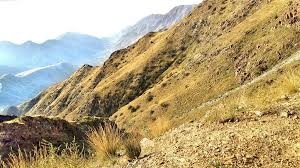 جولدن العرين Golden Al3areen abha hotel — photo 4 of 4