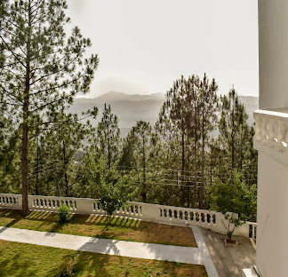 Hotel Amore Donga Gali — photo 4 of 4