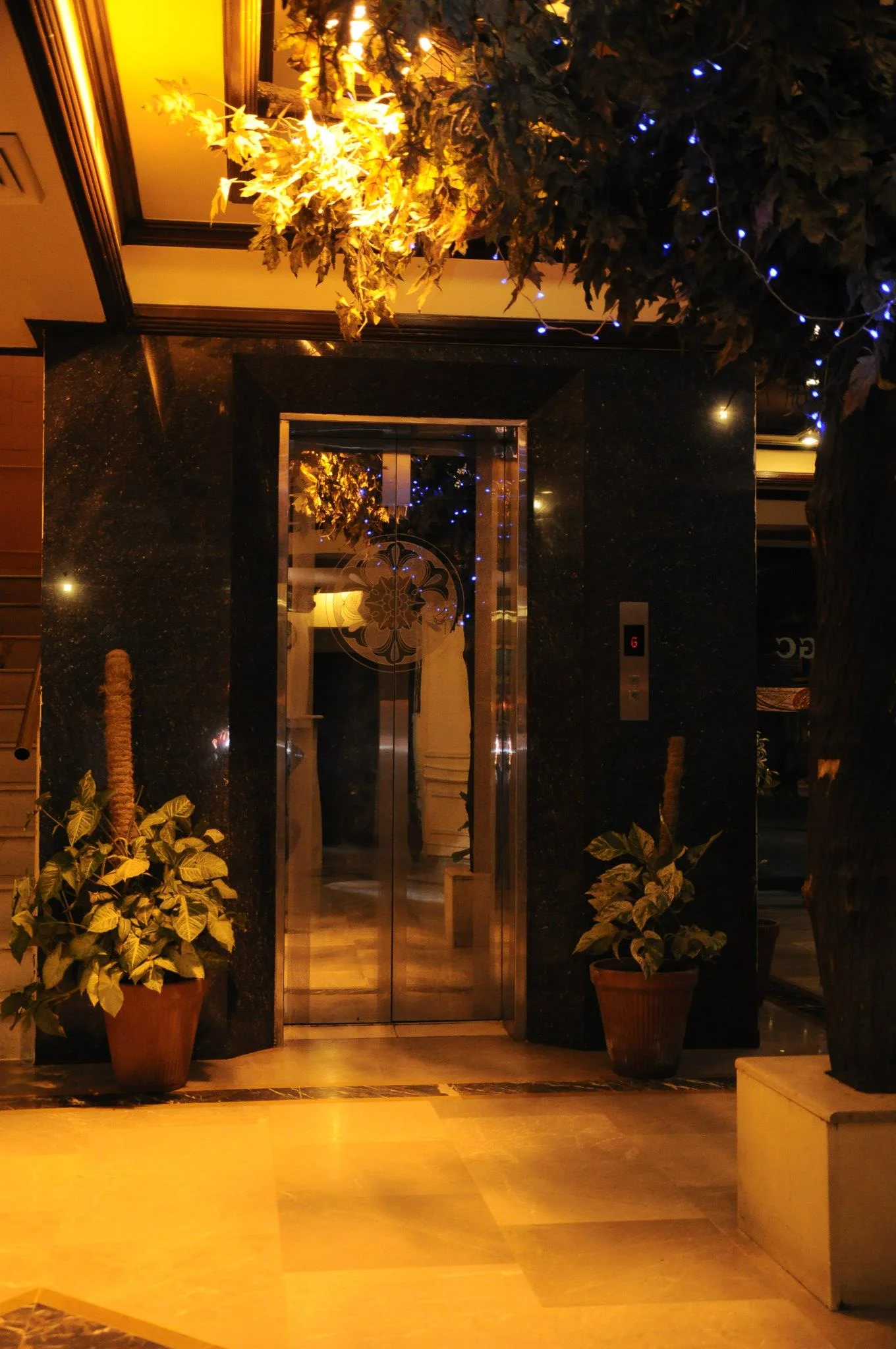 Hotel Royal Palace — photo 3 of 4