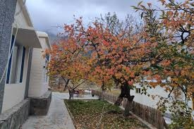 Sakura Lodges Hunza — photo 1 of 4