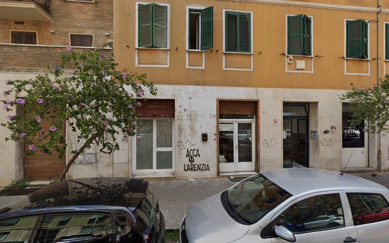 Tour and Transfer s.c. rental in Rome