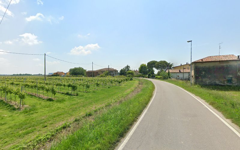 SAPORETTI AUTONOLEGGIO rental in Alfonsine