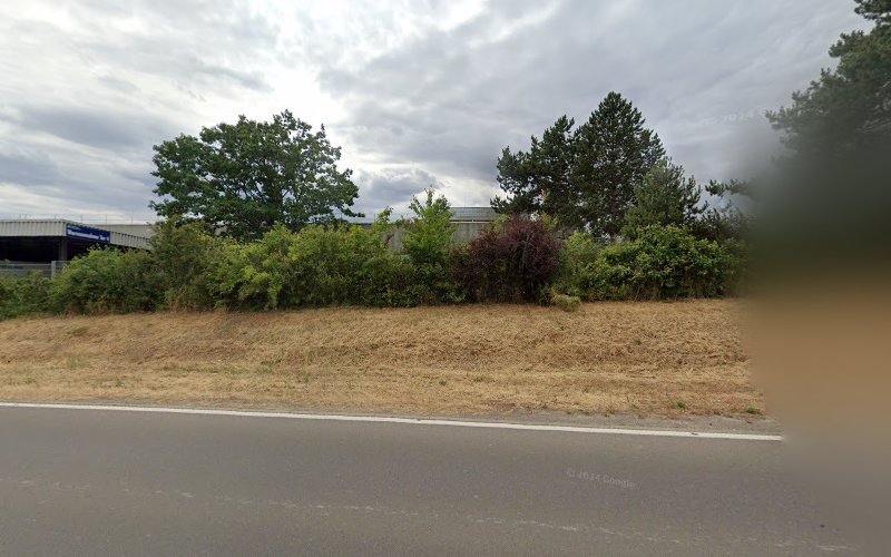Avis Autovermietung - Kirchheimbolanden rental in Kirchheimbolanden