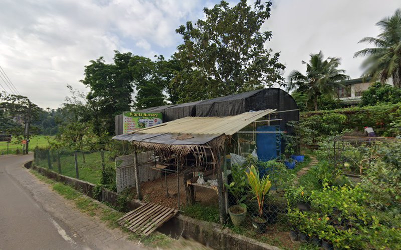 Kadawatha cabs rental in Malabe