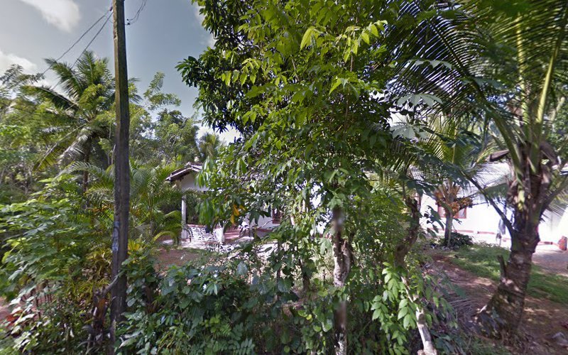 Dimo Batta For Hire rental in Kalutara