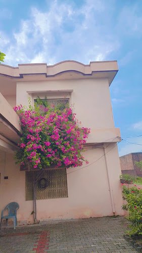 Ch Sohail Munawar Ranjha Farm and Guest House