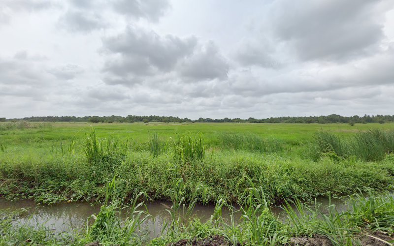 Wilpattu Dilsara Holiday Resort in Rajanganaya