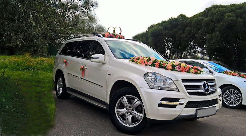 Svadebnyy Portal "Ostrov Nevest"