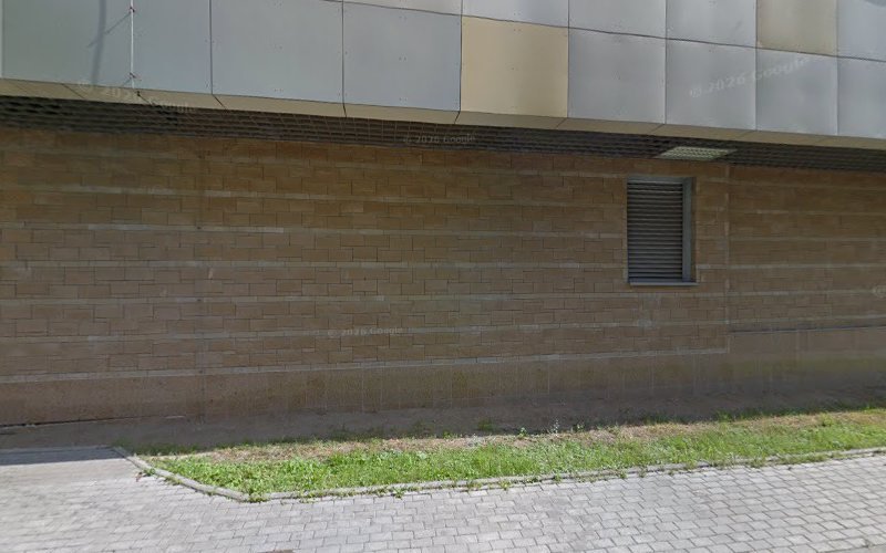 Avm car rental in Moscow