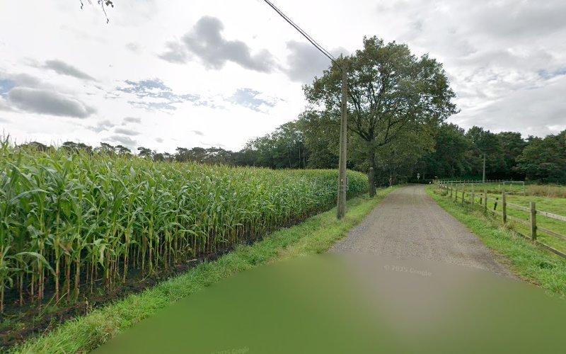 Vanuco rental in Rijkevorsel