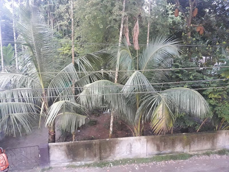 Dhauli Bari rental in Tonvanga