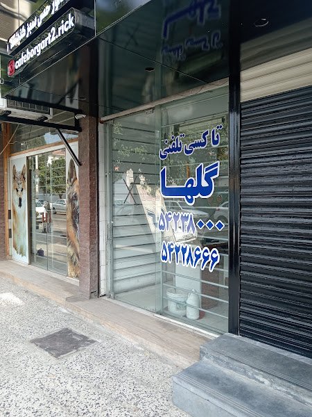 آژانس مسافربری گلها rental in Tonekabon