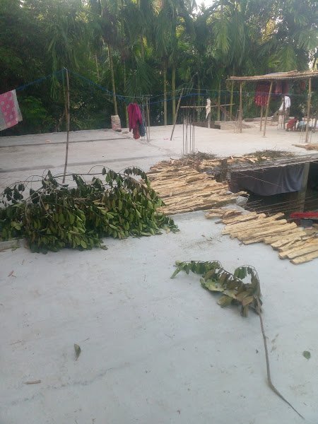 TRIPLE (H) House rental in None