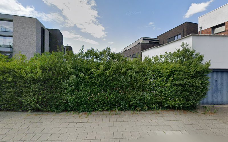 Ceoji Belgium rental in Hasselt