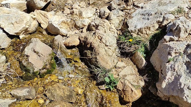 آژانس پونه rental in Aligudarz