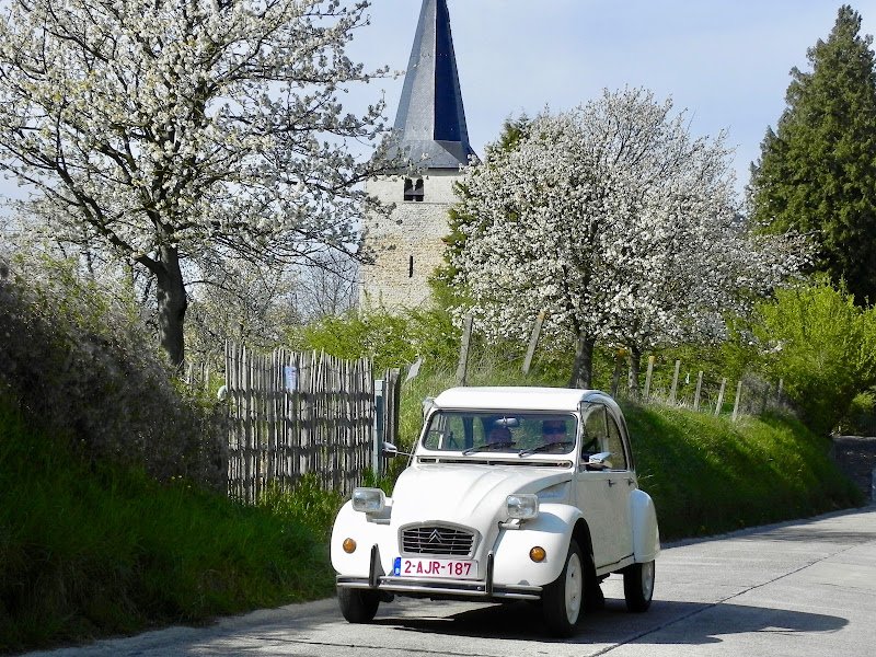 De Vliergeit 2CV rental in Hasselt