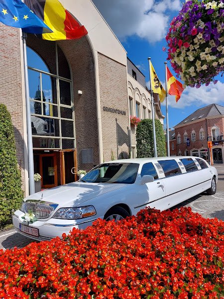 Schepens-Limoservice rental in Wetteren