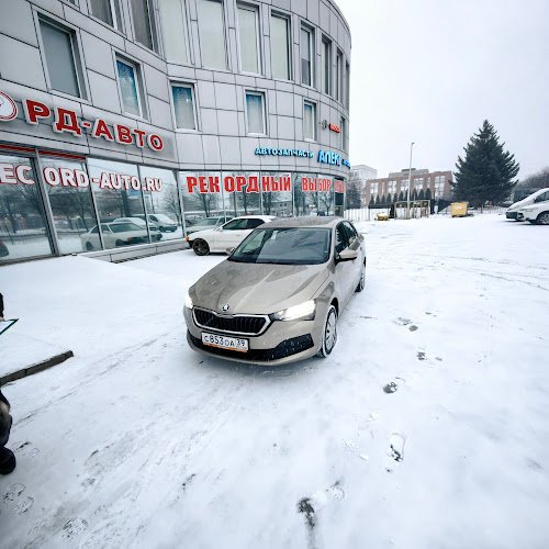 Avtoprokat Toprent. Arenda Avto, Prokat Avto V Kaliningrade.