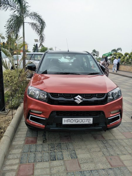 Harry Travels rental in Ambala