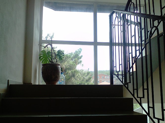 Прокат VIP авто с водителем