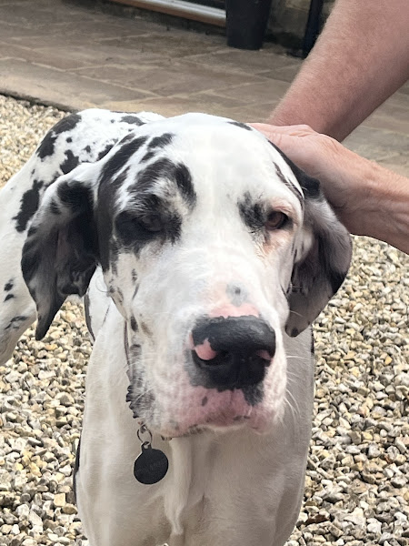 Holywell Grange Farm