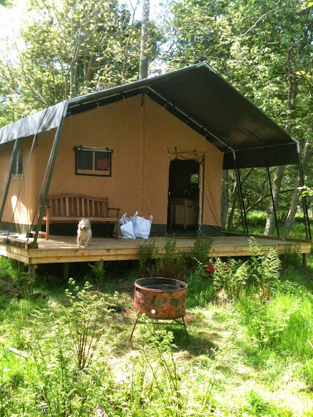 Ruberslaw Wild Woods Camping & Glamping – Hawick