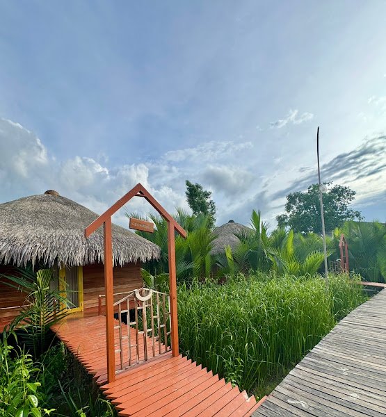 অরণ্যছায়া ইকো রিসোর্ট hotel in None