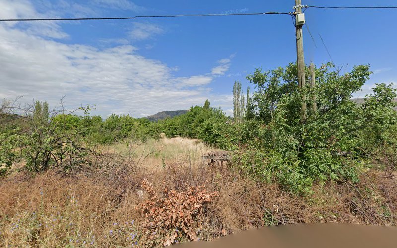 Koçaker bağları in Amasya