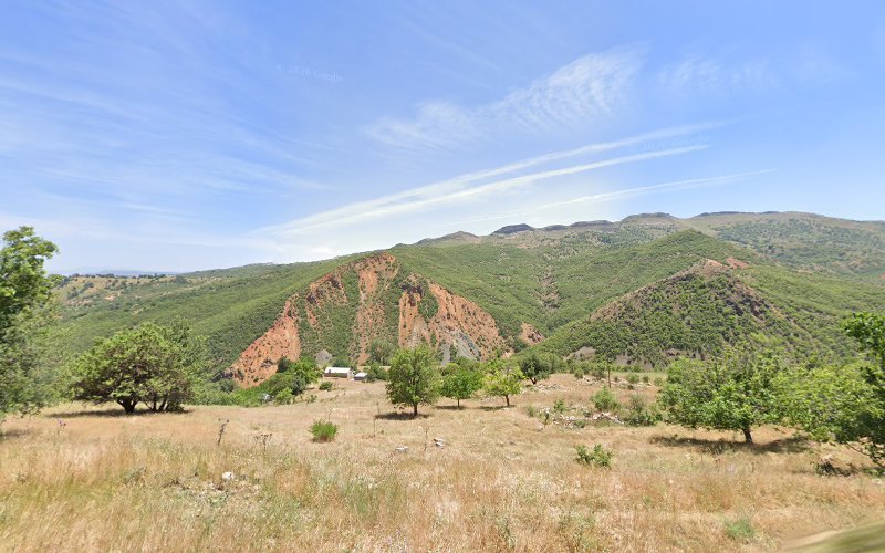 Dallibel Koyu Muhtarligi in Tunceli