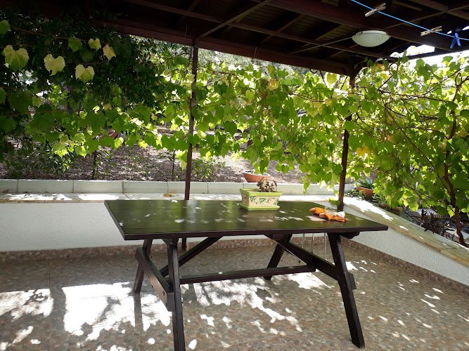 Ayla Hanım in Balıkesir