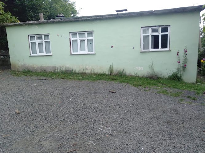 Tevük Gil - Sabri Çamyar in Ordu