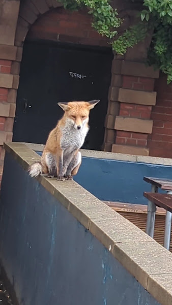 Westow House Pub &amp; Hotel