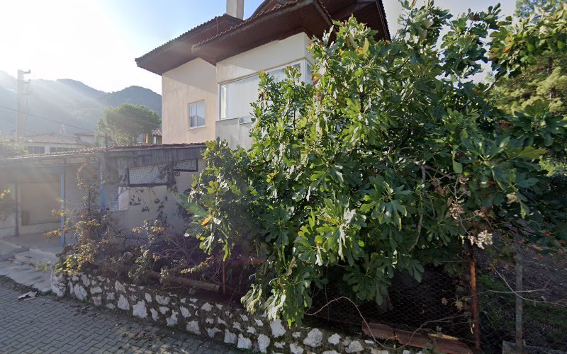 Manolya Apartments in Muğla