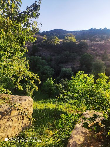 Gelincik Koyu Muhtarligi in Tunceli