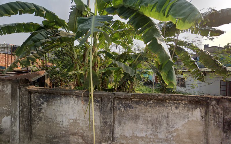 Shimla Chatrabas in Dinajpur