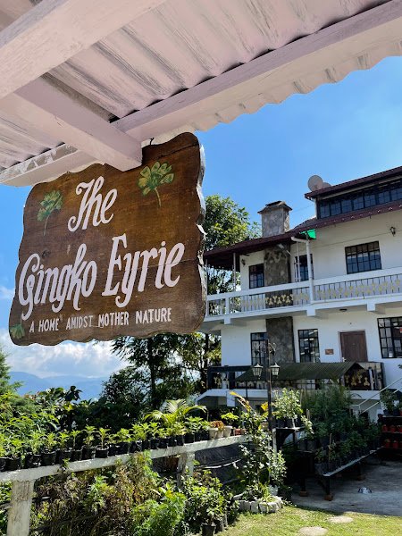 The Gingko Eyrie hostel in Kalimpong