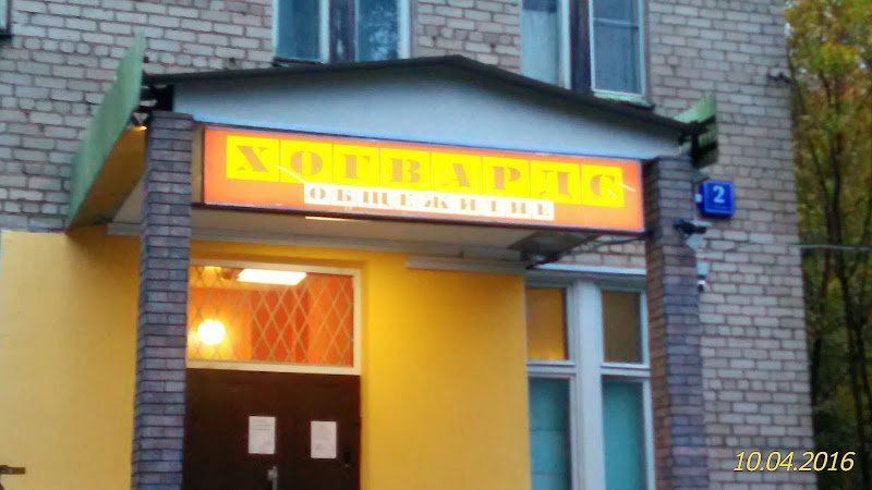 Dominus Khostel hostel in Moscow