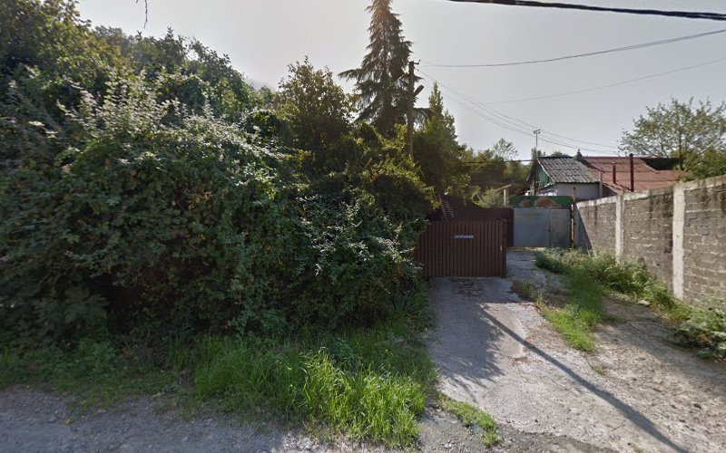 Freeдом in Bolshoy Sochi