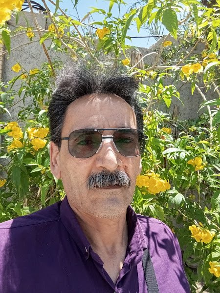 استراحتگاه محنا in Bushehr