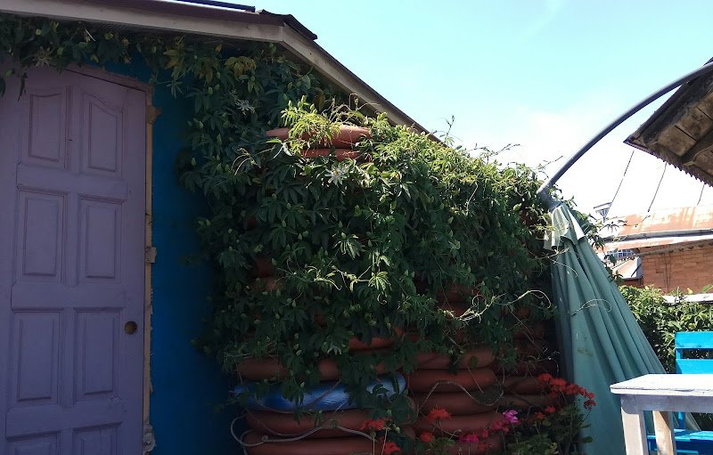 Hostel Lermontov hostel in Sochi